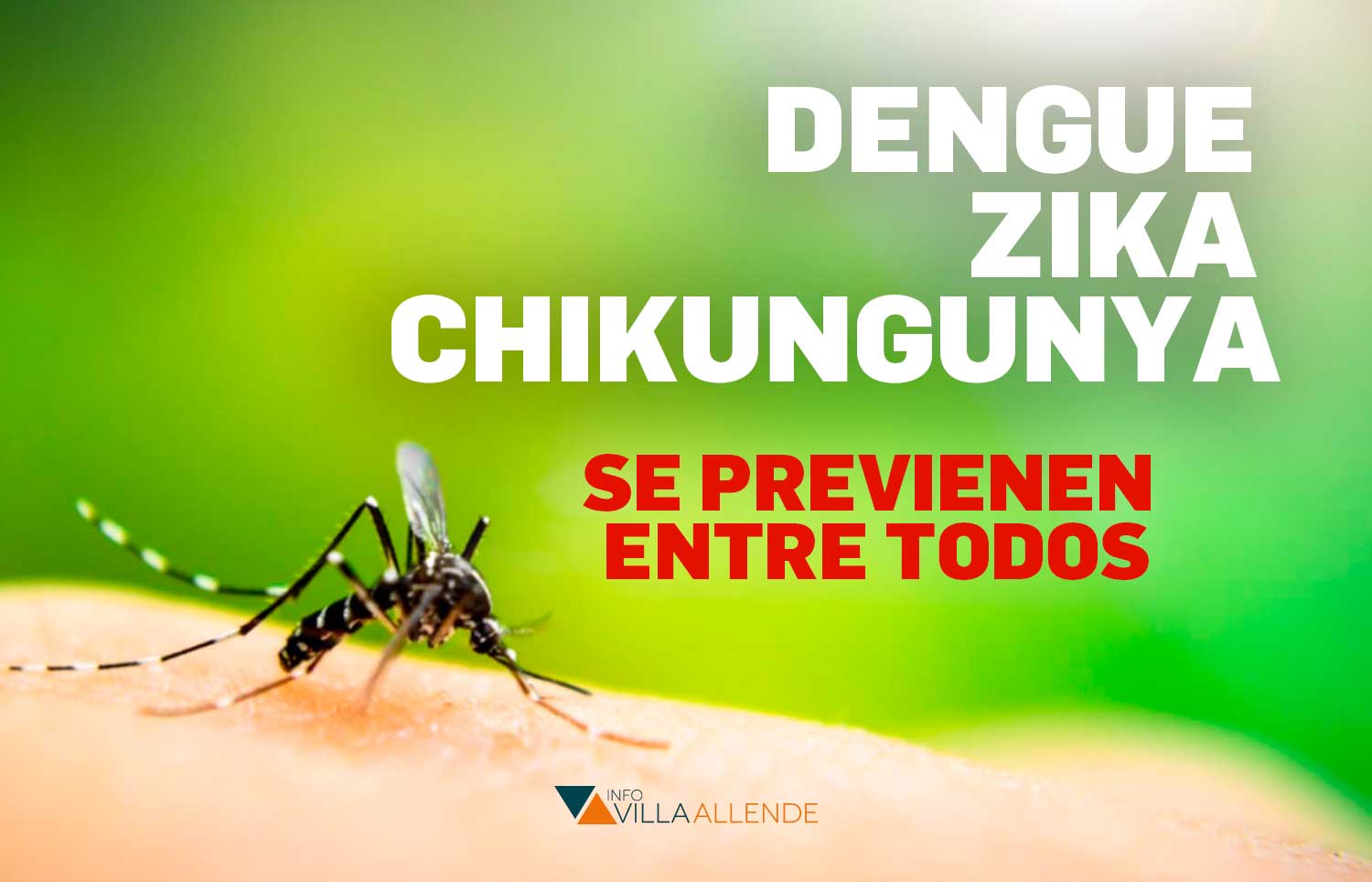 Continúan en aumento los casos de dengue en la provincia