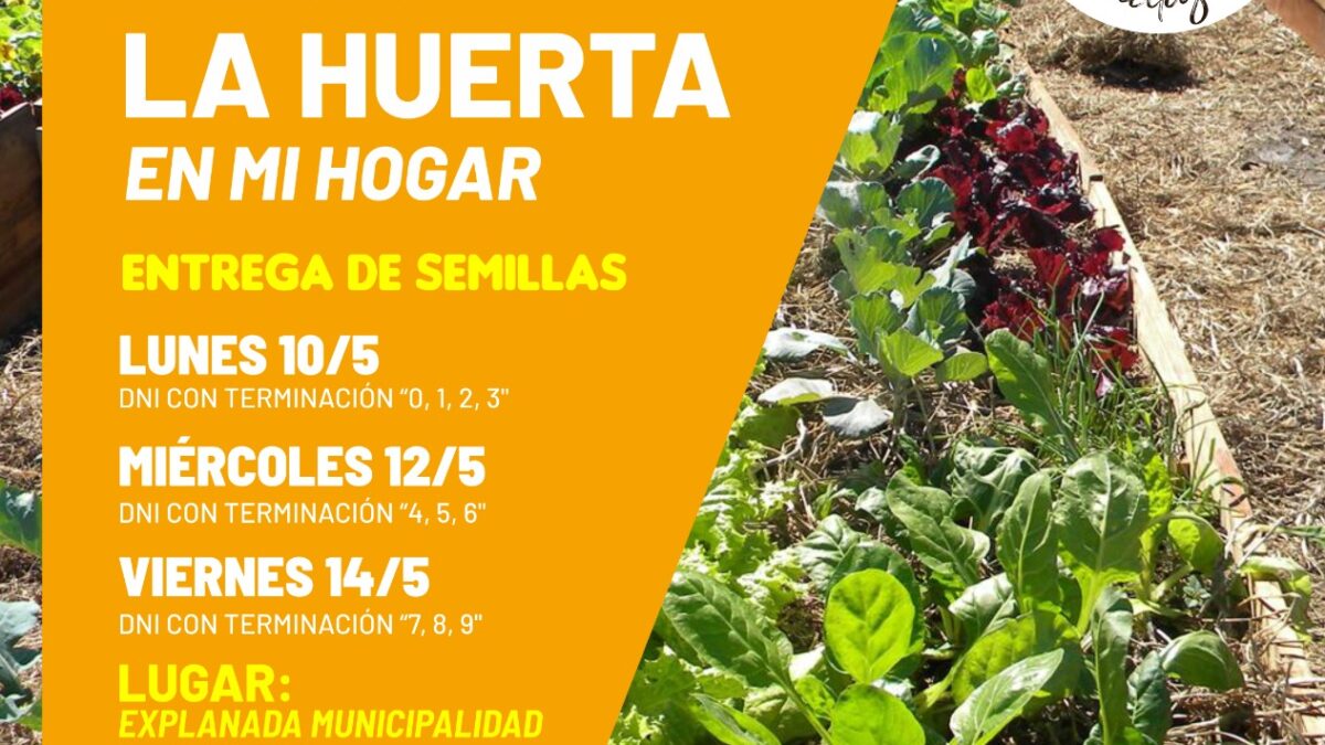 UNQUILLO: Programa la huerta en tu hogar